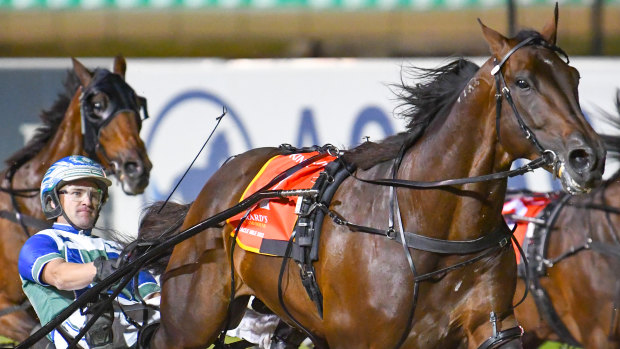 Harness Racing NSW injects $15 million into breeding and prizemoney