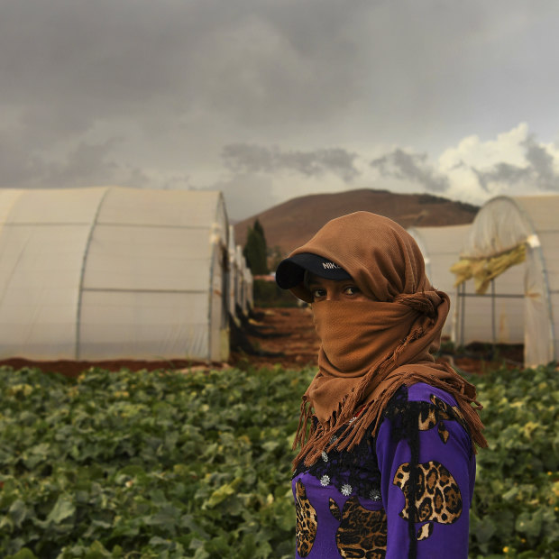 Hala, 18, a refugee from Deir al-Zor in Syria in the field where she is picking cucumbers to support her family in a Lebanese camp.
