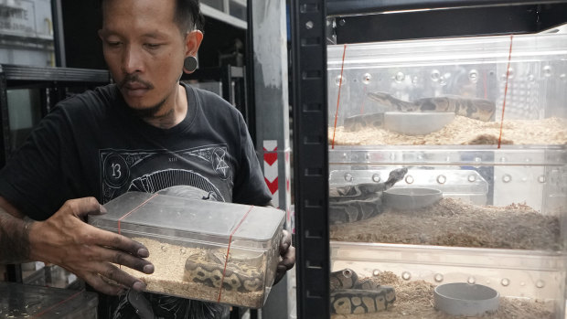 Fire at Thailand’s famous Chatuchak market kills hundreds of animals