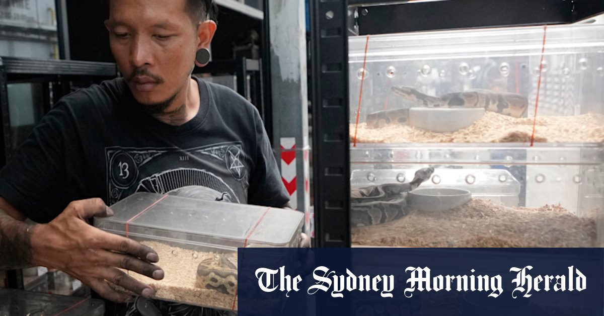 Hundreds of animals dead in Bangkok, Thailand