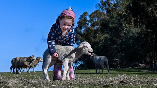 Poppy Green cuddling a newborn lamb on the family’s Benalla farm.
