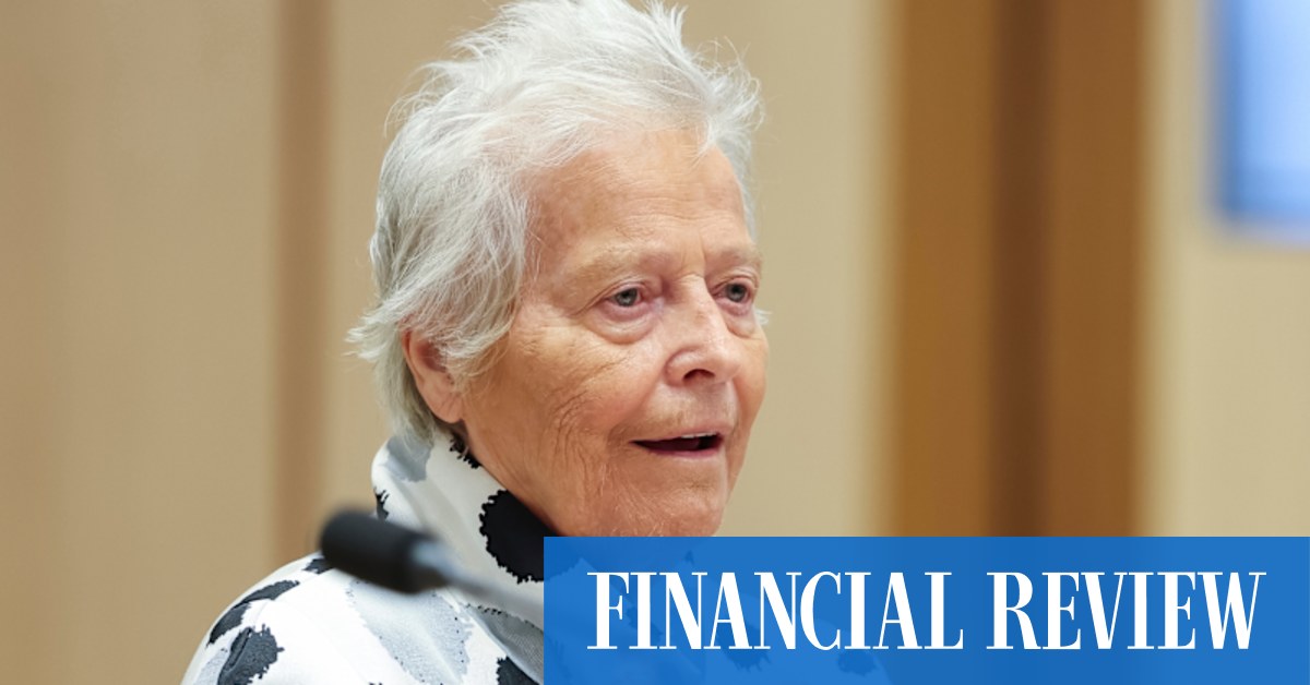 Kerry Schott’s idea to fix the grid: ask AI