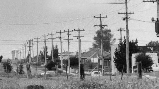 St Albans, pictured in 1973, when it had an 80 per cent migrant population. 