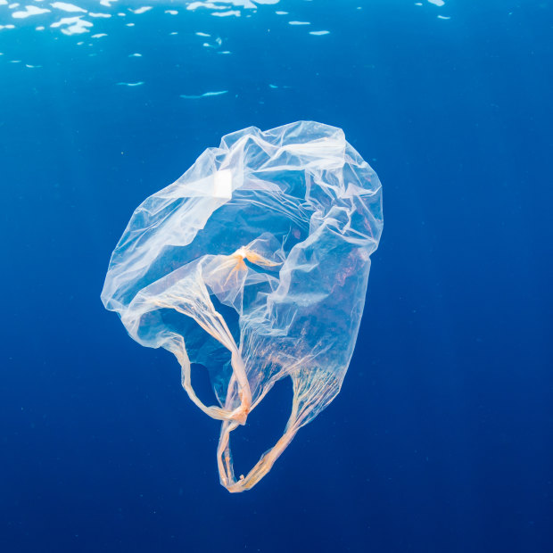 Plastic waste and recycling singleuse plastic in Australia is huge