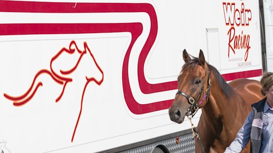 The Weir racing stable pack up all their horses after having all seven horses scratched.