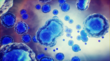 Mesoblast Rebounds 40 Per Cent After Us Regulator Approval