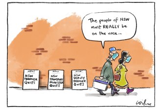 Illustration: Cathy Wilcox