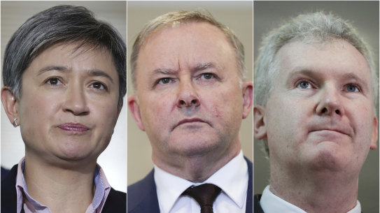 Penny Wong, Anthony Albanese and Tony Burke voiced concerns about the plan.