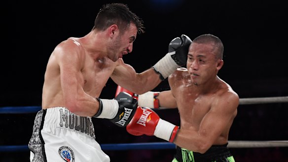 Australian boxer Jason Moloney ready for shot at world title