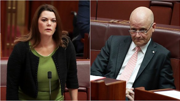 Senator Hanson-Young is suing Senator Leyonhjelm for defamation over comments in subsequent media interviews.