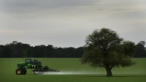 Eastern Australia has in recent weeks enjoyed its first significant rain since years of drought.