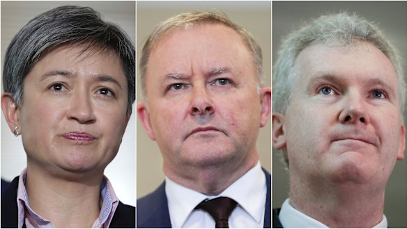 Penny Wong, Anthony Albanese and Tony Burke voiced concerns about the plan.