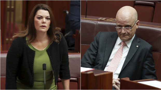Senator Hanson-Young is suing Senator Leyonhjelm for defamation over comments in subsequent media interviews.