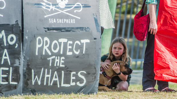 A  protest against the whaling decision outside the Japanese embassy in Canberra.