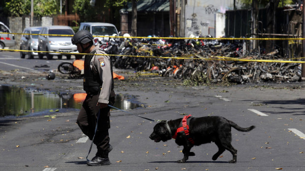 An officer leads a sniffer dog at one of the sites of church attacks in Surabaya.