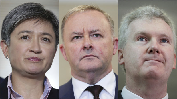 Penny Wong, Anthony Albanese and Tony Burke voiced concerns about the plan.