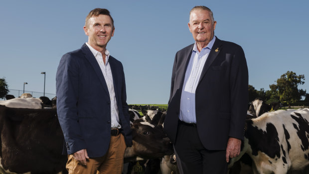 Tony Perich, right, and his son Mark Perich at their dairy farm at Bringelly next to the site of the forthcoming airport.