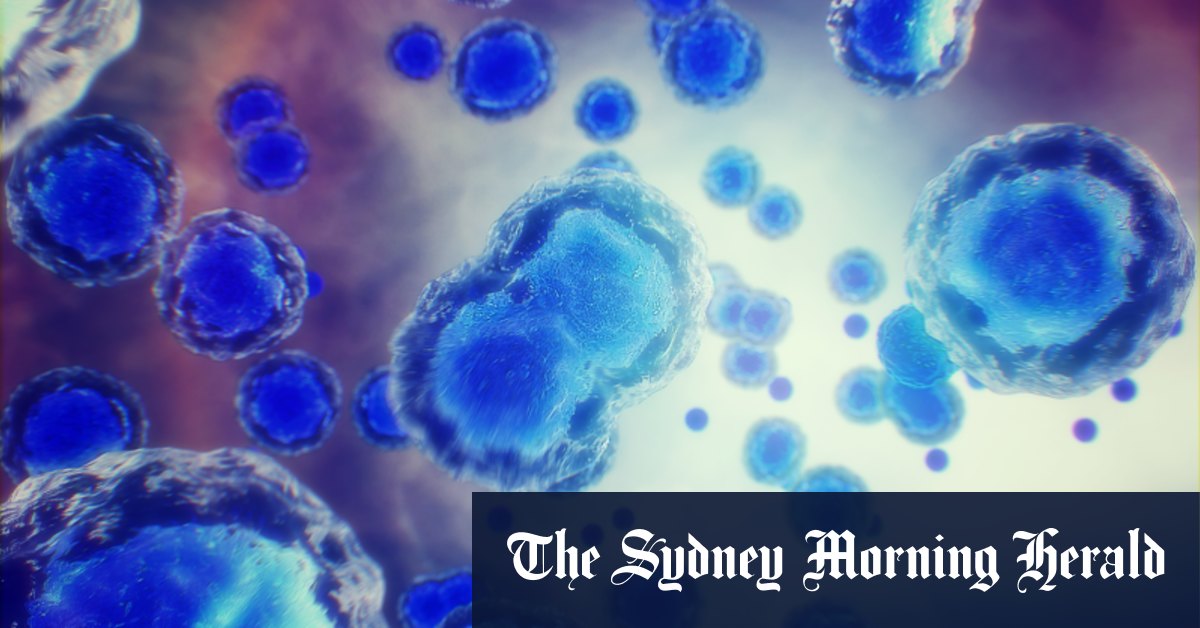 Mesoblast Rebounds 40 Per Cent After Us Regulator Approval