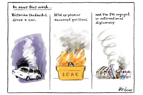 Illustration: Cathy Wilcox