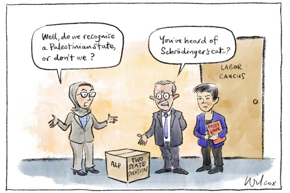 Illustration: Cathy Wilcox