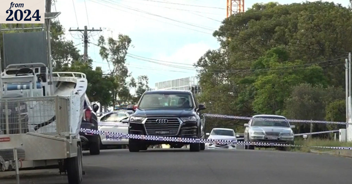 Toongabbie incident: Toddler dies after being hit by a car