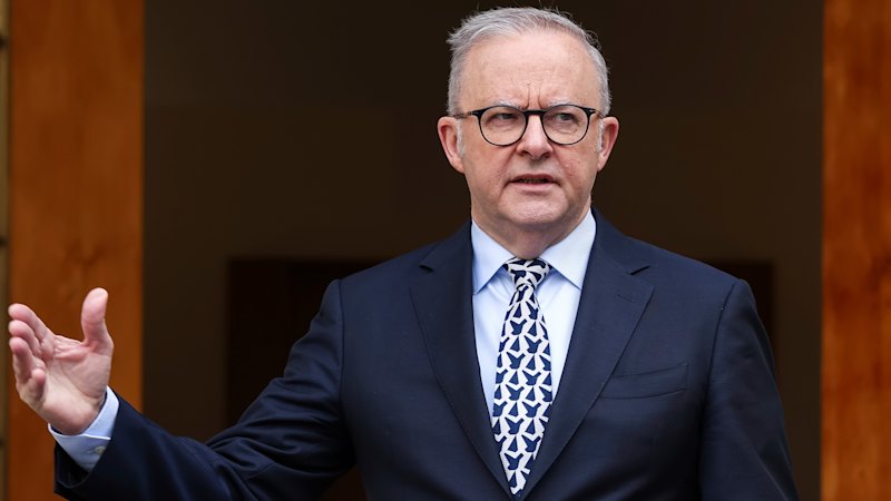 Albanese says his new laws will make Australians safer. How will they actually work?