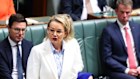 Opposition leader Sussan Ley.