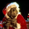 Christmas Grinch found in Yarra council IT department