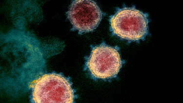 The coronavirus that causes COVID-19. 