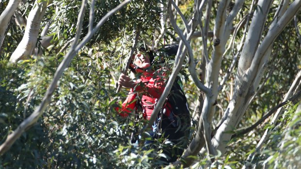 Unhappy landing: An SES worker tries to reach the paraglider in bushland in Balgownie.