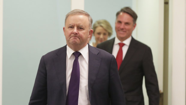 Opposition Leader Anthony Albanese and deputy Labor leader Richard Marles just after he assumed the leadership last year.