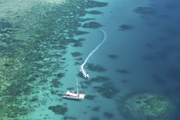 Climate-conscious Sailaway Port Douglas’ wind-powered catamaran on the Great Barrier Reef.
