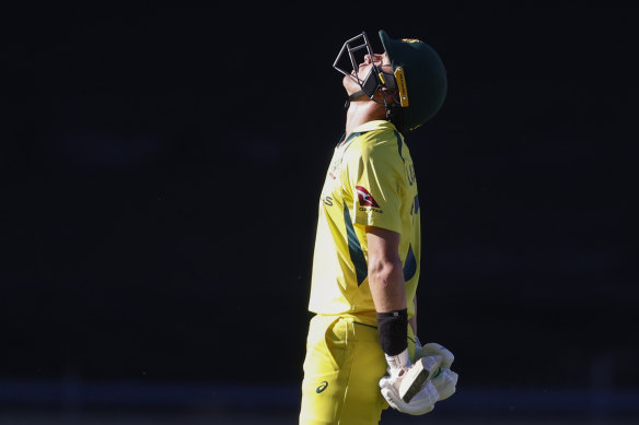 Dejected, Marnus Labuschagne leaves the crease after being dismissed in the fifth one-dayer against South Africa.