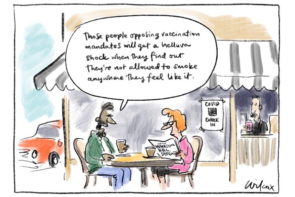 Illustration: Cathy Wilcox