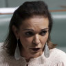 Labor MP Anne Aly left shaken by knife-wielding man