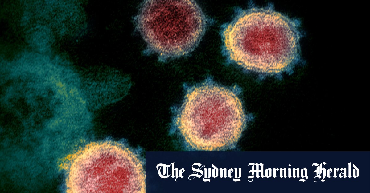 Victorian Coroner Investigates Australia S Youngest Covid Death