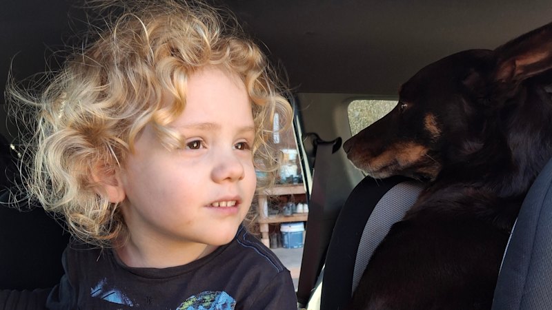 ‘Someone knows what happened to Gus’: Four-year-old’s parents make desperate plea