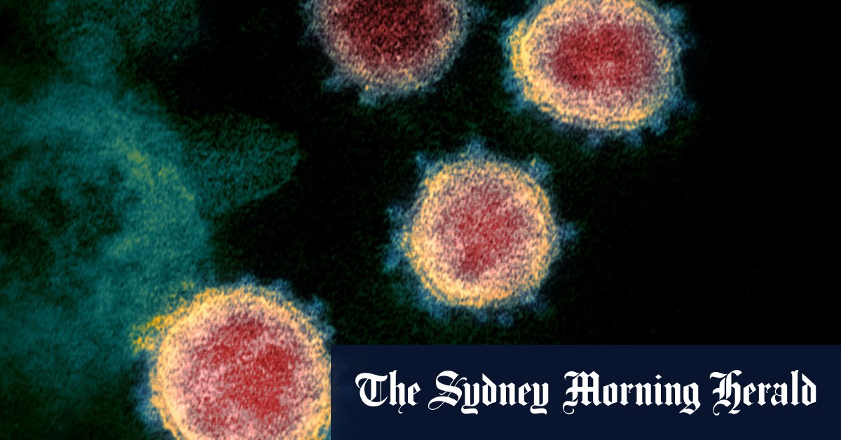 Pierwszy przypadek wirusa XE COVID wykryty w Australii