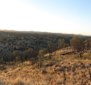 A picturesque view of the grounds near Tennant Minerals’ copper-gold Barkly project in the Northern Territory, close to the company’s two new large-scale prospects.
