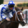 Jockey Michael Poy in action.