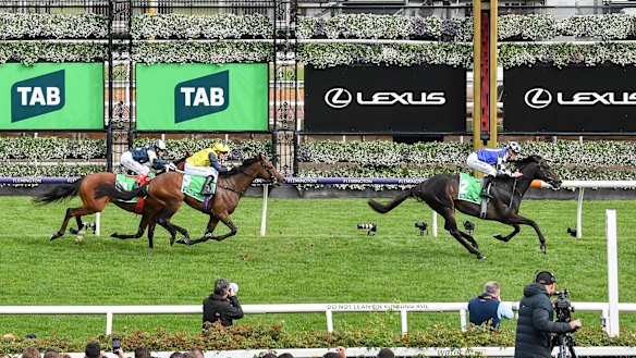 Gold Trip soars past the finishing post.