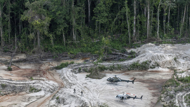 Deforestation in the  Rainforest - Ballard Brief