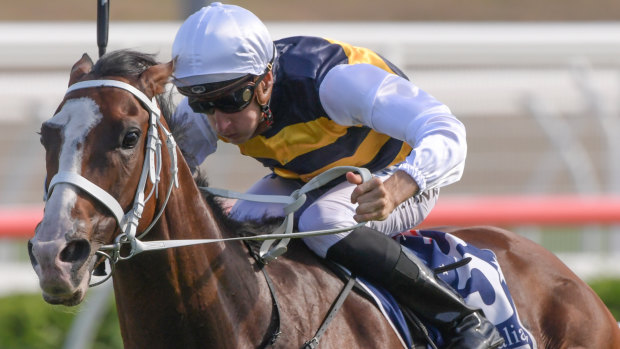 Tom Melbourne pins his ears back for Blake Shinn in the Carrington Stakes.