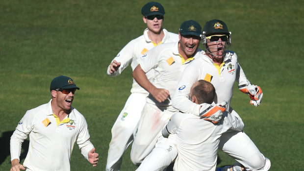 Teammates race to congratulate Nathan Lyon in 2014.