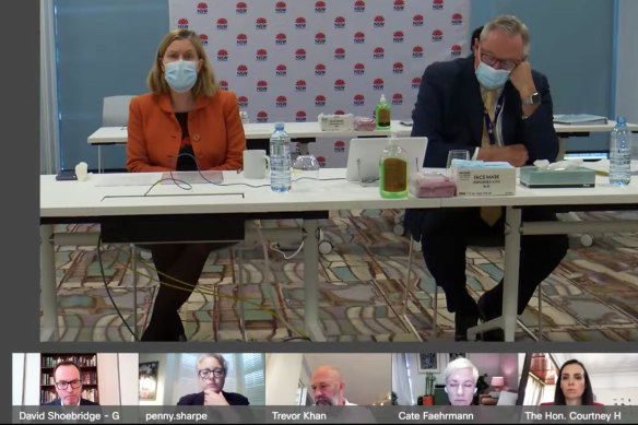 Dr Kerry Chant and Health Minister Brad Hazzard are questioned at yesterday’s inquiry. 