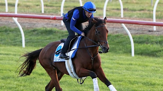 Red Galileo has been ruled out for the rest of the spring.