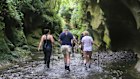 The Patuna Chasm Walk