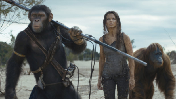 Kingdom of the Planet of the Apes is less entertaining than a nature doco