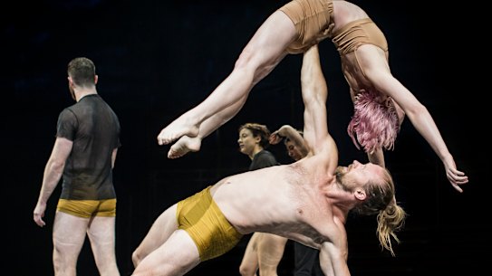 Circus is about the "gift of weight".