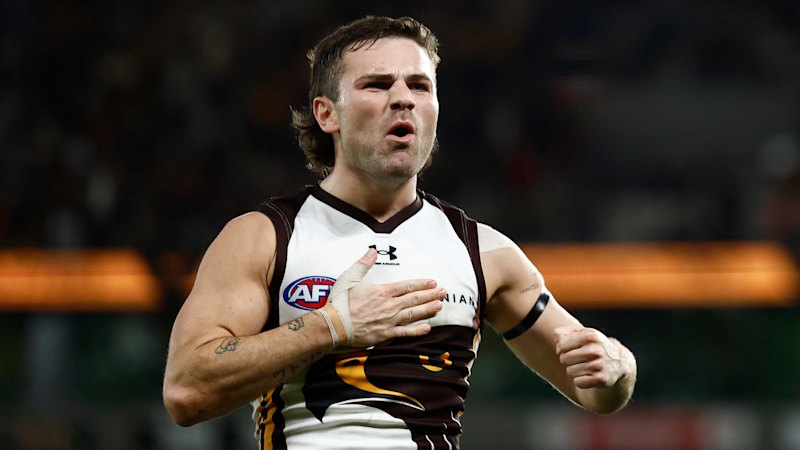 Watson missed the mark: AFL blames umpire’s ‘no-goal’ call on ‘the Wizard’